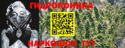 дживик Бердск